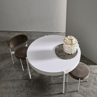 Cove Luxury Shell Table Light