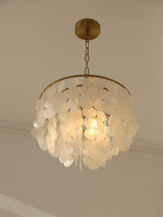 Chime Natural Shell Chandelier