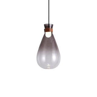 Elowen Teardrop Pendant Light