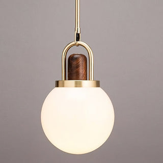 Tarin Modern Wood Brass Pendant Light