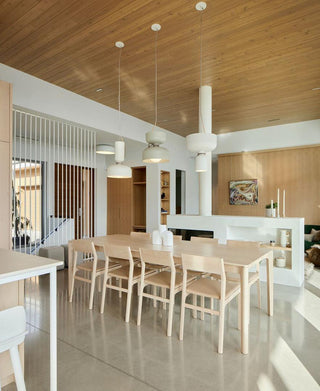 Capsule Minimalist Iron Pendant Light