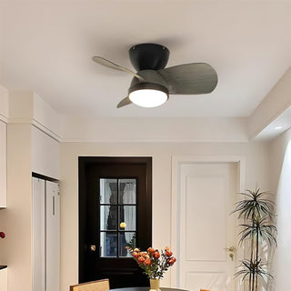 Eamon Modern Wood Ceiling Fan Light - Blowlighting