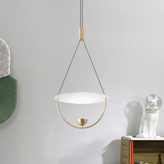 Teardrop Contemporary Metal LED Pendant Light