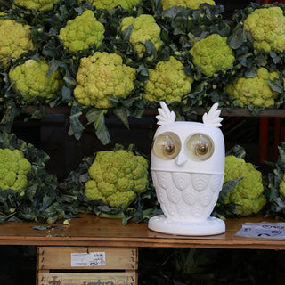 Kael Owl Resin Sculptural Table Lamp