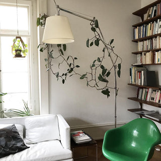 Biank Modern Metal Glass Floor Lamp