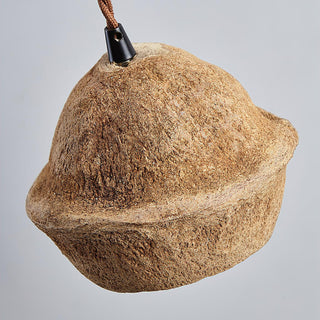 Tropical Tranquility Organic Rustic Monkey Bowl Tree Fruit Shell Pendant Light