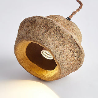 Tropical Tranquility Organic Rustic Monkey Bowl Tree Fruit Shell Pendant Light