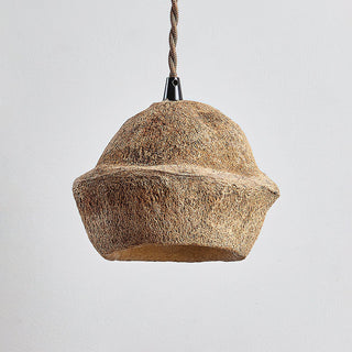 Tropical Tranquility Organic Rustic Monkey Bowl Tree Fruit Shell Pendant Light