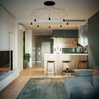 Funk Industrial Wire Cage Pendant Light