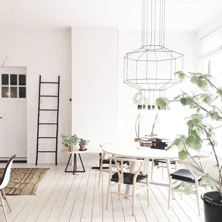 Funk Industrial Wire Cage Pendant Light