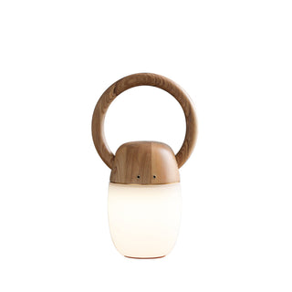 Wood Language Modern Acrylic Table Light
