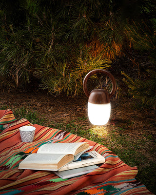 Wood Language Modern Acrylic Table Light