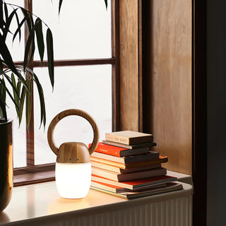 Wood Language Modern Acrylic Table Light